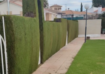 Limpieza y podado de setos y arbustos