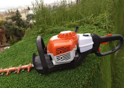 Poda de setos y desbrozado