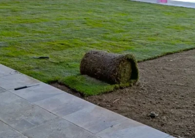 Plantación de cesped natural