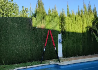 Corte de setos de jardín