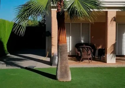 Cuidado de jardín, cesped, setos, plantas, ...